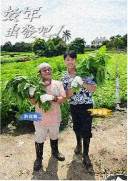 喜剧综艺《一年一度喜剧大赛》封面